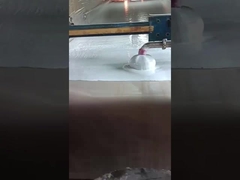 สายการผลิตหมองหมองแบบอัตโนมัติแนวราบ